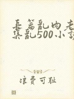 长篇乱肉老师合集乱500小说封面