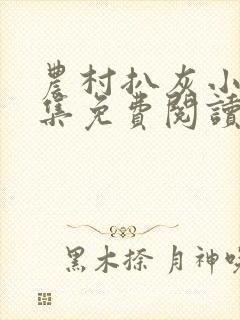 农村扒灰小说全集免费阅读