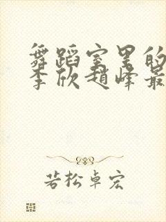 舞蹈室里的景色李欣赵峰最新章节