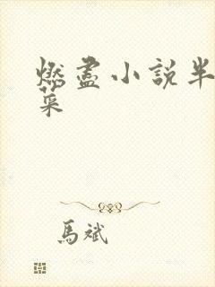 燃尽小说半截白菜