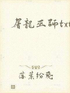 屠龙巫师txt
