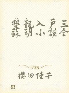 双龙入户三人行苏玥小说全文阅读封面