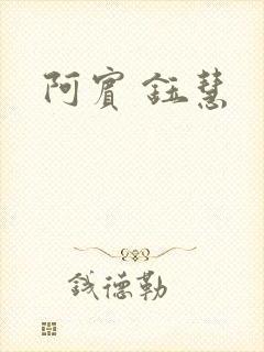 《阿宾 钰慧》小说封面