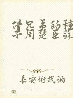 借兄弟的种生孩子周楚臣苏糖