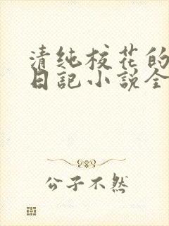 清纯校花的堕落日记小说全文免费阅读