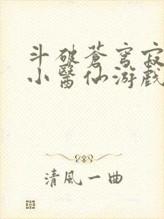 斗破苍穹寂寞的小医仙游戏世界