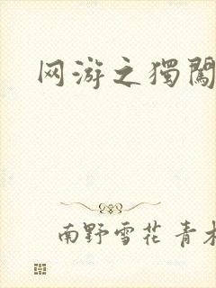 网游之独闯天涯