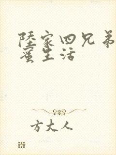 陆家四兄弟的甜蜜生活