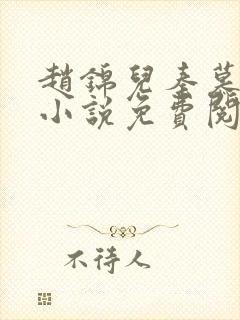 赵锦儿秦慕修的小说免费阅读全文