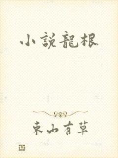 小说龙根