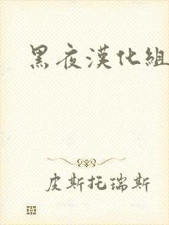 黑夜汉化组