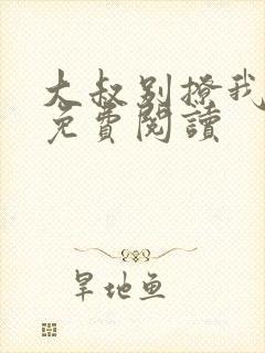 大叔别撩我小说免费阅读