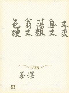 色翁荡息又大又硬又粗又爽小莹