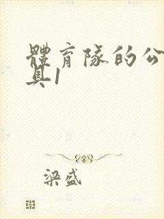 体育队的公用玩具1