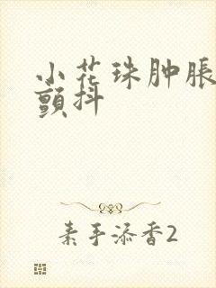 小花珠肿胀挺立颤抖