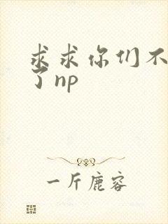 求求你们不要做了np
