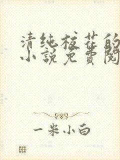 清纯校花的秘密小说免费阅读