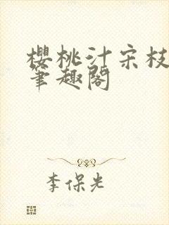 樱桃汁宋枝江野笔趣阁