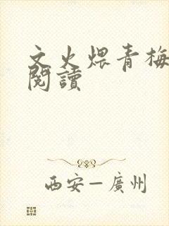 文火煨青梅免费阅读封面
