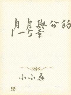 月月与公的激情1一5章