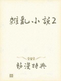 杂乱小说2