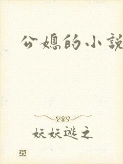 公媳的小说