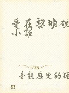 爱在黎明破晓前小说