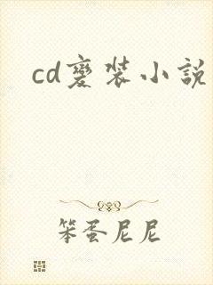 cd变装小说