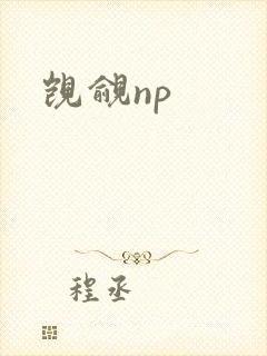 觊觎np