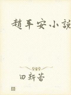 赵平安小说主角