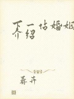 下一站婚姻剧情介绍