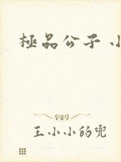 极品公子 小说封面