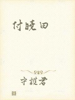 付晓田封面