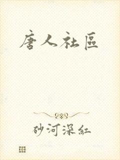 《唐人社区》小说封面