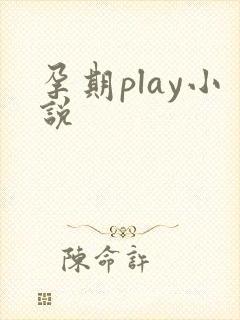 孕期play小说