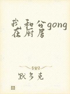 我和公gong在厨房