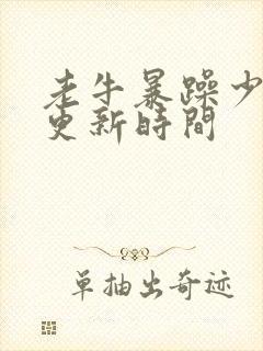 老牛暴躁少女的更新时间