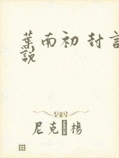 叶南初 封言小说