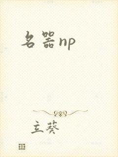 名器np