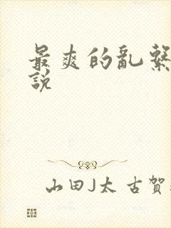 最爽的乱系列小说