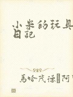 小米的玩具羞辱日记