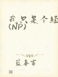 我只是个经纪人(NP)