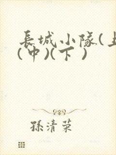 长城小队(上)(中)(下 )