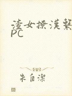 渣女撩汉系统NPC