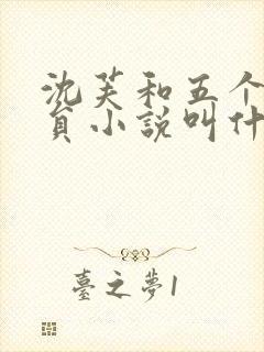 沈芙和五个消防员小说叫什么