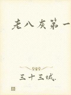 《老八灰第一回》小说封面