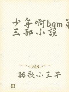 少年啊bgm第三部小说