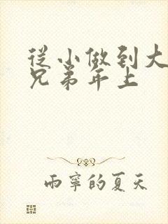 从小做到大骨科兄弟年上