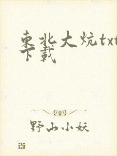 东北大炕txt下载