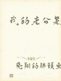 我的老公是军阀